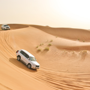 Dubai Stock